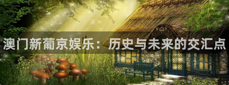 888贵宾会官网