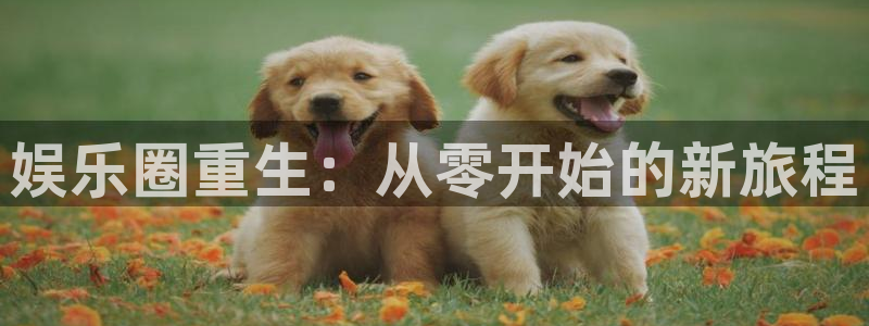 888贵宾会官网