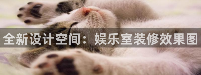 888贵宾会官网